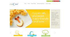 Desktop Screenshot of esselindia.com
